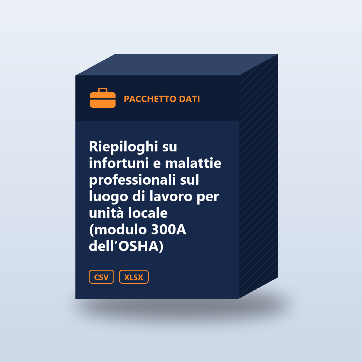 Riepiloghi su infortuni e malattie professionali sul luogo di lavoro per unità locale (modulo 300A dell’OSHA)